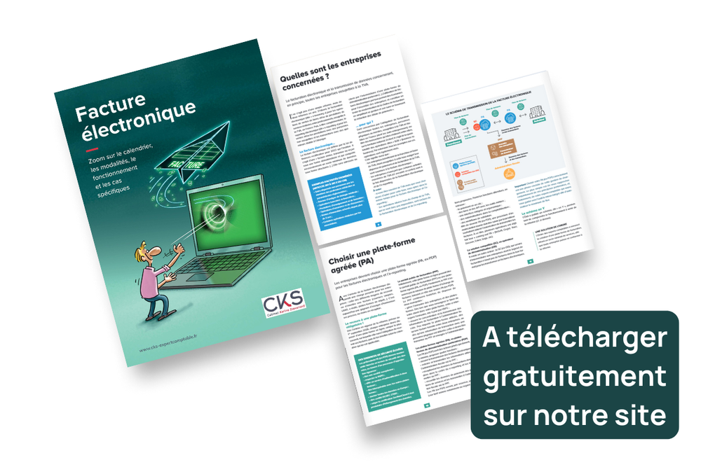 visuel du guide, facture electronique