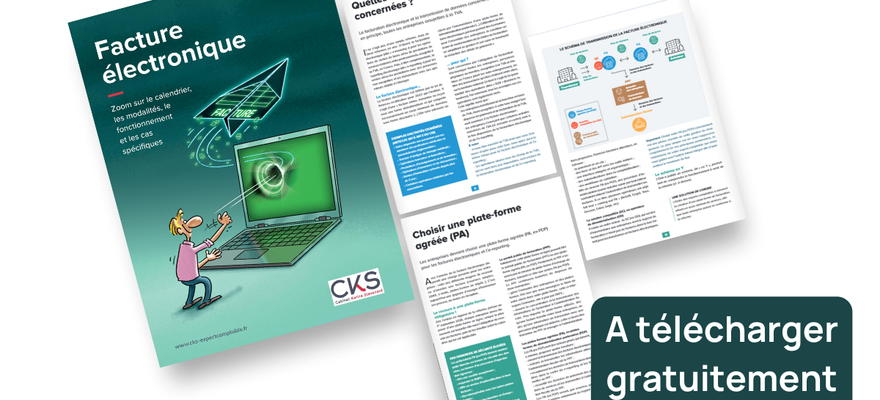 visuel du guide, facture electronique